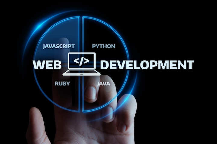 Web Development
